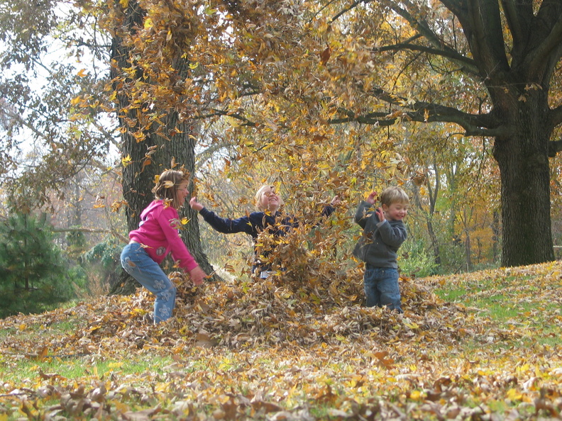 2006 11-Mom and Dads House Kids in Leaves.jpg